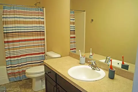 1051 Oakwood Dr, Dewitt, MI 48820 photo 23