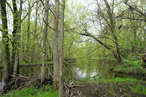 1580 W Dill Rd, Dewitt, MI 48820 photo 24