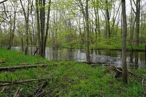 1580 W Dill Rd, Dewitt, MI 48820 photo 23