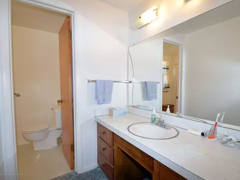 4718 Donald St, Lansing, MI 48910 photo 29