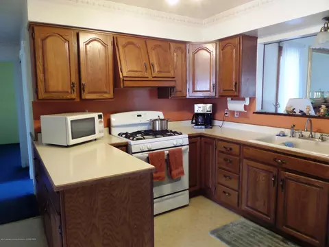 400 N Risch Rd, Webberville, MI 48892 photo 4