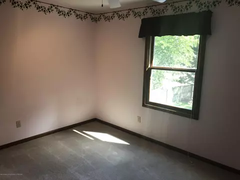 3211 Old Hickory Trl, Dewitt, MI 48820 photo 20