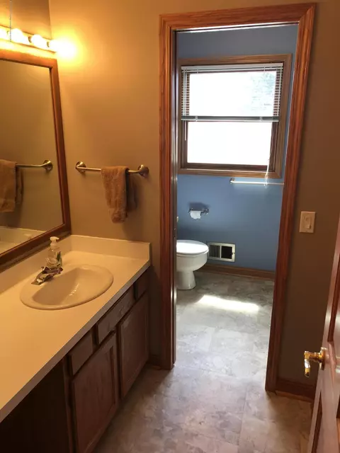 3211 Old Hickory Trl, Dewitt, MI 48820 photo 11