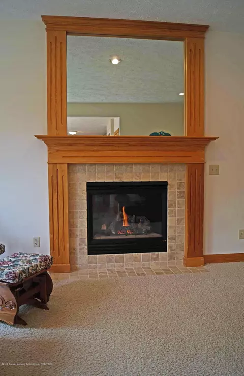3175 Crofton Dr, Dewitt, MI 48820 photo 12