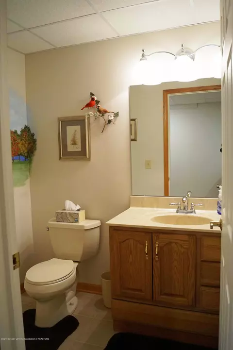 3175 Crofton Dr, Dewitt, MI 48820 photo 25