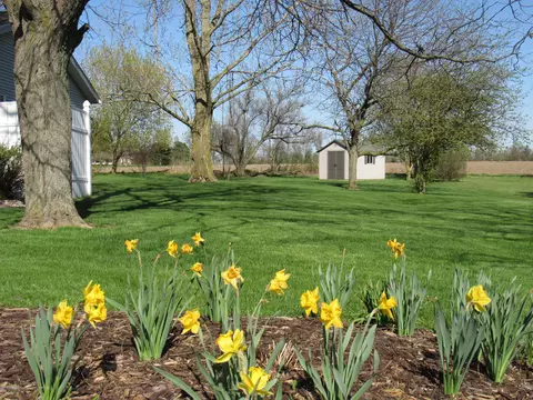 13851 S Hinman Rd, Eagle, MI 48822 photo 35