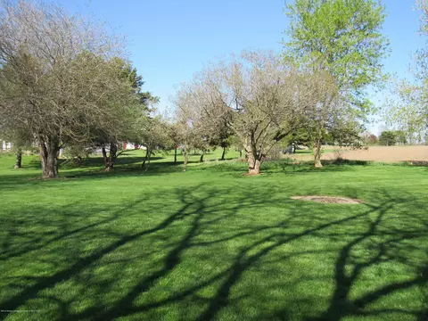 13851 S Hinman Rd, Eagle, MI 48822 photo 38