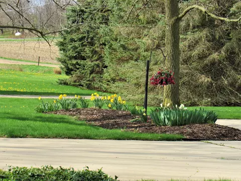 13851 S Hinman Rd, Eagle, MI 48822 photo 37