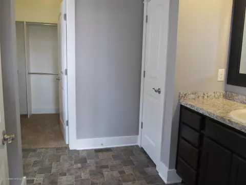13805 Bauerle Rd, Dewitt, MI 48820 photo 18