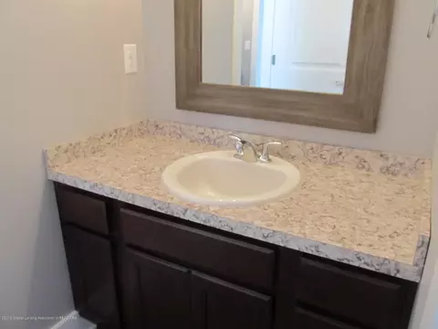 13805 Bauerle Rd, Dewitt, MI 48820 photo 28