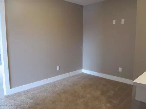 13805 Bauerle Rd, Dewitt, MI 48820 photo 24