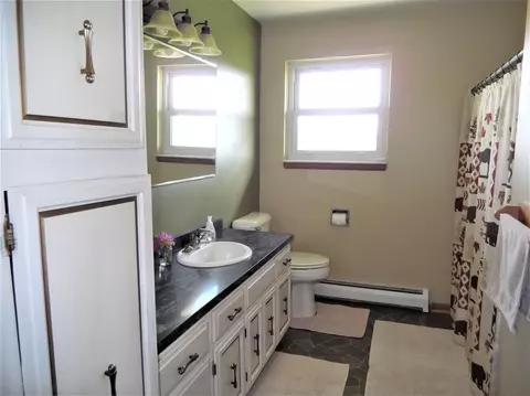 12920 W Clark Rd, Eagle, MI 48822 photo 21