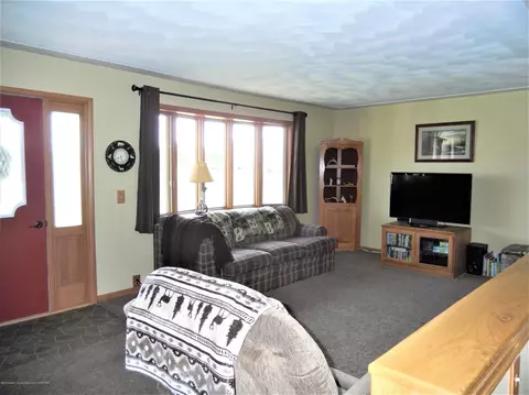 12920 W Clark Rd, Eagle, MI 48822 photo 3