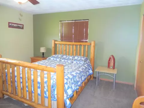 12920 W Clark Rd, Eagle, MI 48822 photo 16