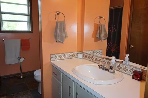 13071 Turner Rd, Dewitt, MI 48820 photo 13
