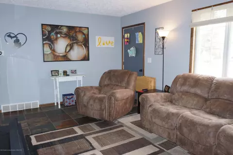 13071 Turner Rd, Dewitt, MI 48820 photo 3