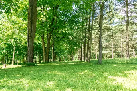 12350 W Herbison Rd, Eagle, MI 48822 photo 49