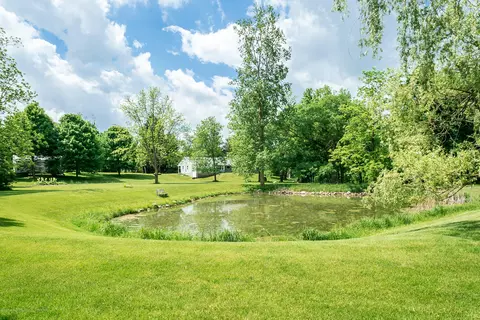 12350 W Herbison Rd, Eagle, MI 48822 photo 46