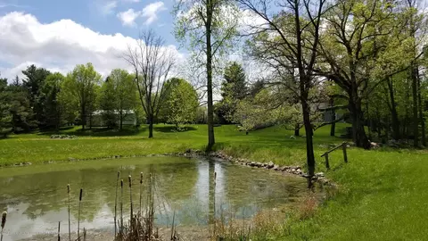 12350 W Herbison Rd, Eagle, MI 48822 photo 37