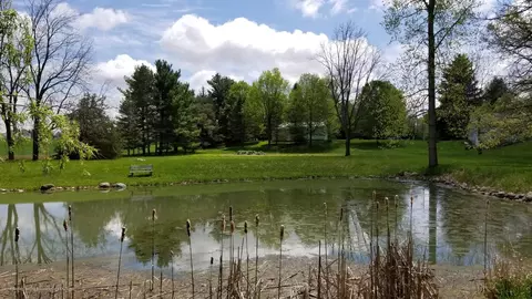 12350 W Herbison Rd, Eagle, MI 48822 photo 53