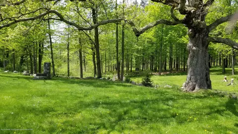 12350 W Herbison Rd, Eagle, MI 48822 photo 50