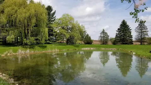 12350 W Herbison Rd, Eagle, MI 48822 photo 33