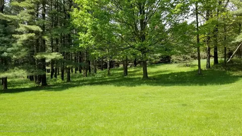 12350 W Herbison Rd, Eagle, MI 48822 photo 45