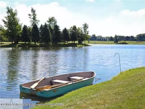 12825 Paradise Dr, Dewitt, MI 48820 photo 26