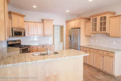 12825 Paradise Dr, Dewitt, MI 48820 photo 10