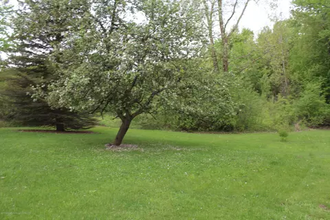 4600 Sleight Rd, Bath, MI 48808 photo 19
