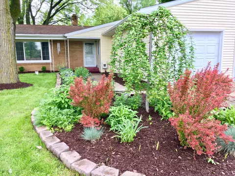 5367 Marsh Rd, Haslett, MI 48840 photo 3