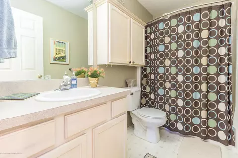 1320 Lacosta Dr, Dewitt, MI 48820 photo 22