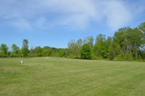 8780 W Cutler Rd, Dewitt, MI 48820 photo 28