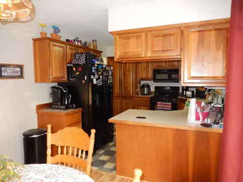 13378 Jennifer Dr, Perry, MI 48872 photo 7