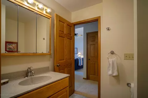 4132 Pine Tree Ln, Lansing, MI 48911 photo 33