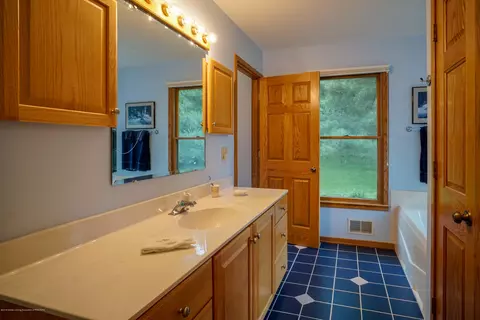 4132 Pine Tree Ln, Lansing, MI 48911 photo 46