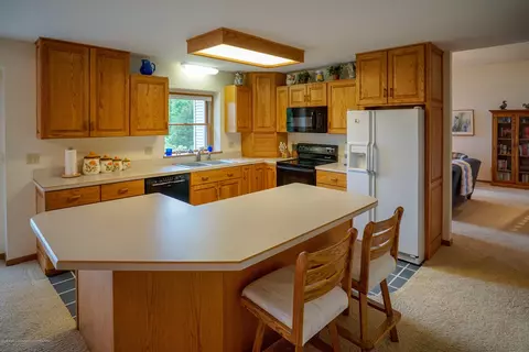 4132 Pine Tree Ln, Lansing, MI 48911 photo 22