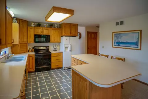 4132 Pine Tree Ln, Lansing, MI 48911 photo 23