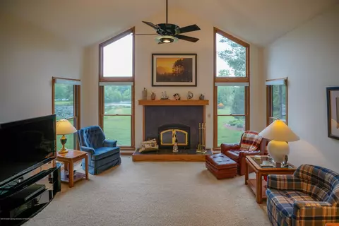4132 Pine Tree Ln, Lansing, MI 48911 photo 19