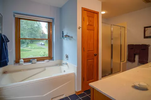 4132 Pine Tree Ln, Lansing, MI 48911 photo 43
