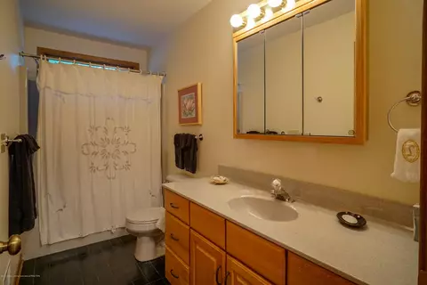 4132 Pine Tree Ln, Lansing, MI 48911 photo 50