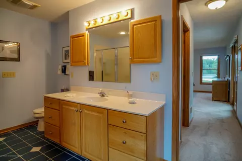 4132 Pine Tree Ln, Lansing, MI 48911 photo 44