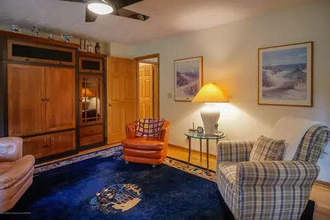 4132 Pine Tree Ln, Lansing, MI 48911 photo 39