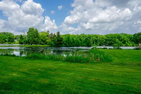 4132 Pine Tree Ln, Lansing, MI 48911 photo 67
