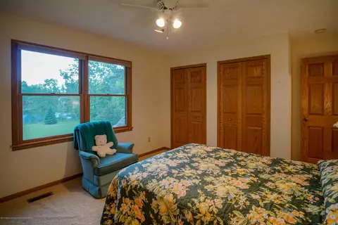 4132 Pine Tree Ln, Lansing, MI 48911 photo 49