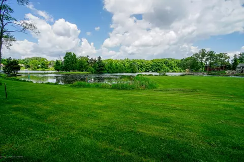 4132 Pine Tree Ln, Lansing, MI 48911 photo 66