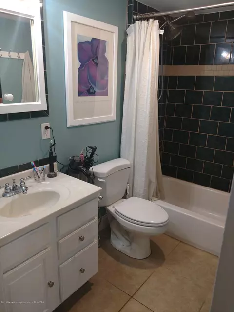 13564 Walnut St, Bath, MI 48808 photo 38