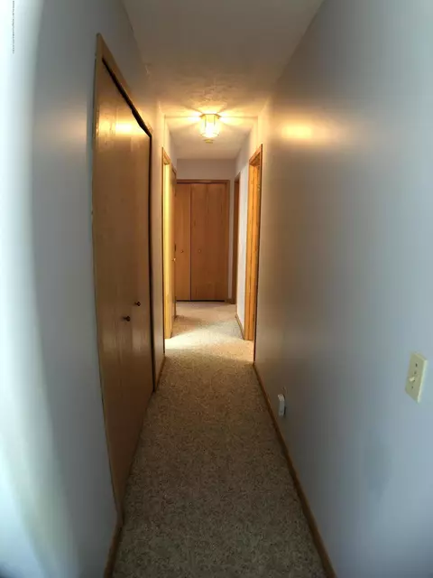 9850 Missaukee Ln, Haslett, MI 48840 photo 16