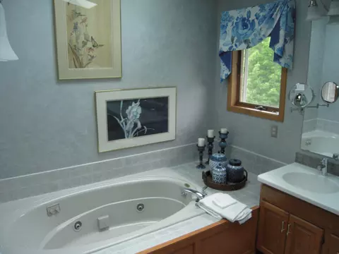 4391 W Herbison Rd, Dewitt, MI 48820 photo 17