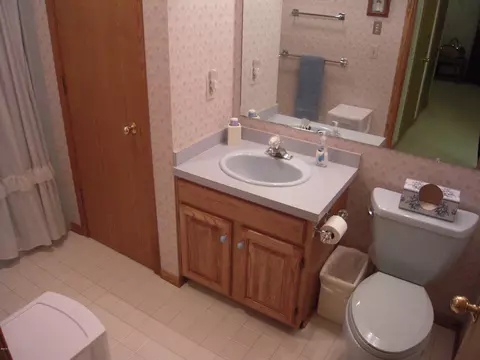 4391 W Herbison Rd, Dewitt, MI 48820 photo 28